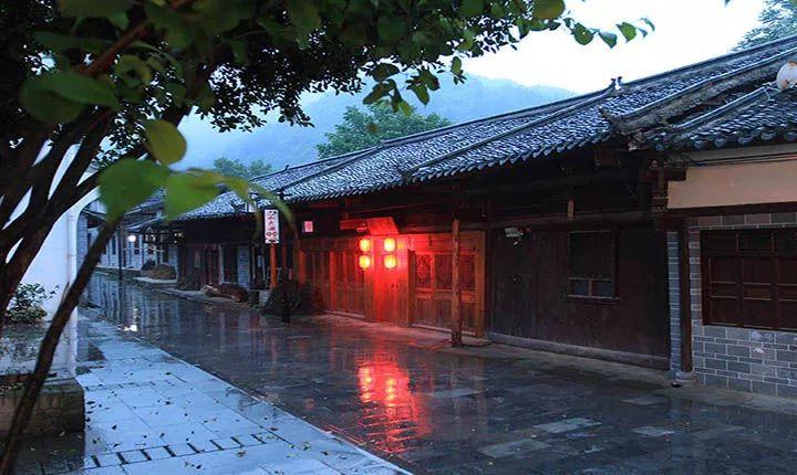 春雨直播app
